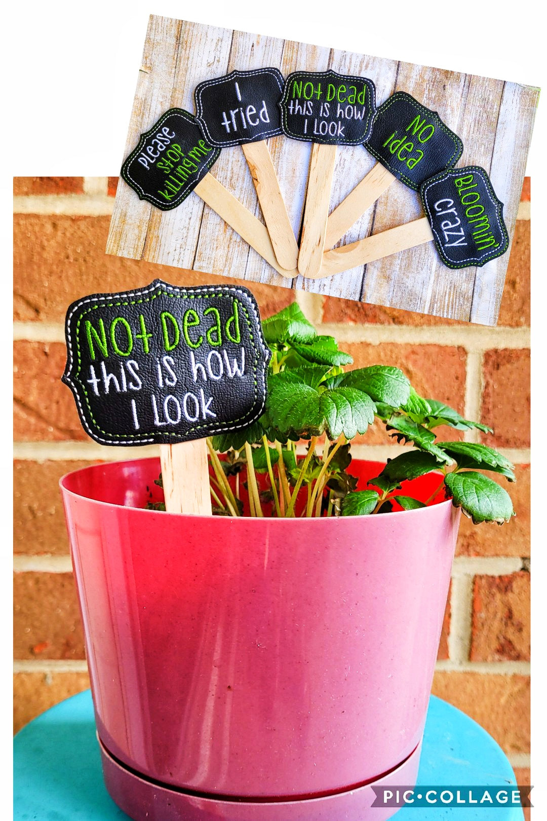 Funny Plant Markers